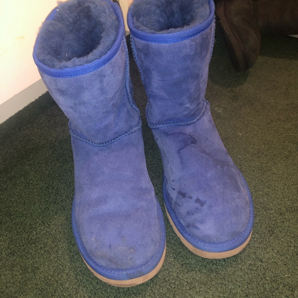 Blues uggs